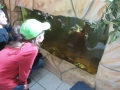 2017_04_05 Kandel besucht Bellheim 03