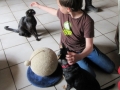 2017_04_05 Kandel besucht Bellheim 28