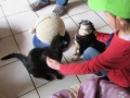 2017_04_05 Kandel besucht Bellheim 29