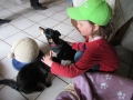 2017_04_05 Kandel besucht Bellheim 30