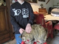 2017_04_05 Kandel besucht Bellheim 32