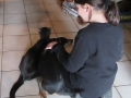 2017_04_05 Kandel besucht Bellheim 33