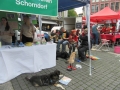 2017_05_13 2. Stuttgarter TS-Tag 43