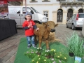 2017_05_14 TZN Landau 01