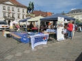 2017_05_14 TZN Landau 38