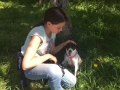 2017_05_19 Alsfeld beh Hunde 6