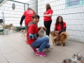 2017_07_11 Pitesti Lesezimmer (13)