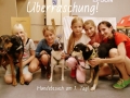 2017_08_10 Nürnberg Ponys 10