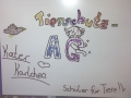 2017_09_13 Alsfeld einäugiger Kater 01