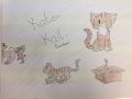 2017_09_13 Alsfeld einäugiger Kater 08