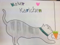 2017_09_13 Alsfeld einäugiger Kater 11