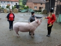 2017_10_10 Wilde Hilde 057