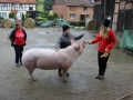 2017_10_10 Wilde Hilde 058