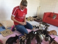 2017_10_22 Alsfeld SMEURA Katzen 01