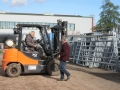 2017_10_27 Kandel Weidepanels Wilde Hilde 02