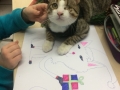 2017_12_06 Alsfeld Kater Karlchen bei TS-AG 01