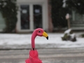2018_02_17 Demo Bornheim Schuster 14