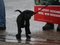 2018_02_17 Demo Bornheim Schuster 19