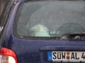 2018_02_17 Demo Bornheim Schuster 21