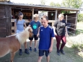 2018_07_02 Kandel bei Svea 01