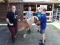 2018_07_02 Kandel bei Svea 02