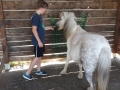 2018_07_02 Kandel bei Svea 06