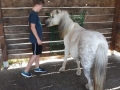 2018_07_02 Kandel bei Svea 07