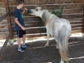 2018_07_02 Kandel bei Svea 08