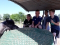 2018_07_02 Kandel bei Svea 13