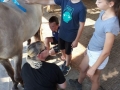 2018_07_02 Kandel bei Svea 41