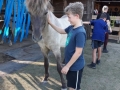 2018_07_02 Kandel bei Svea 64