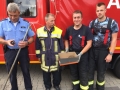 2018_07_11 Alsfeld Igel 06