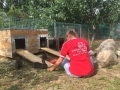 2018_07_24 Alsfeld 1 - Kaninchenrettung Rumänien 05