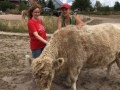 2018_07_31 Ludwigsau besucht Lebenshof für Nutztiere 01