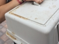 2018_08_08 Bellheim ausgesetzte Kaninchen 02