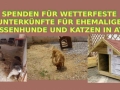 2018_08_09 Tierheim Athen 01