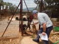 2018_08_09 Tierheim Athen 07