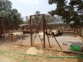 2018_08_09 Tierheim Athen 08