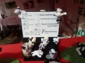 2018_08_12 SfT Bremen Sommerfest 01