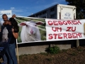 2018_09_09 Heppenheim Schlachthofaktion 07
