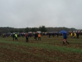 2018_09_23 Heppenheim Hambacher Forst 15