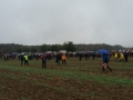 2018_09_23 Heppenheim Hambacher Forst 15