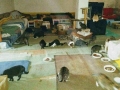 2018_09_30 Katzen Kroatien 24