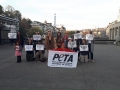 2018_10_13 Mela Peta 01