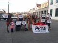 2018_10_17 Mela Peta Pelz 2
