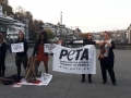 2018_10_17 Mela Peta Pelz 9