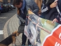 2018_10_22 Demo Landau 03