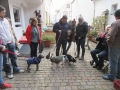 2018_11_24 Tierschutzflohmarkt 17