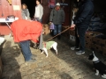 2018_11_24 Tierschutzflohmarkt 19