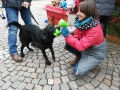 2018_12_16 Weihnachtsmarkt 2018 02